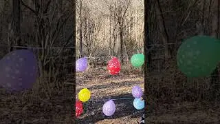 balloon popping #canada#balloon blowing