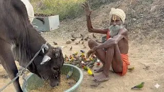 चित्रकूट के सिद्ध संत राधे बाबा कुटिया आई चमत्कारी चिड़िया