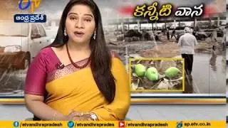 7 Killed in Unseasonal Rain | Farmers Face Massive Losses | as Sudden Rain Wreaks Havoc