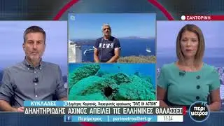 Δηλητηριώδης αχινός απειλεί τις ελληνικές θάλασσες μετά τις μέδουσες οι αχινοί | 1/9/2021 | ΕΡΤ