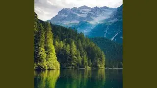 Swaying Pines