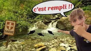 des poissons MAGNIFIQUES dans cette PETITE rivière !!!