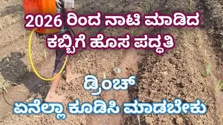 2026 ರಿಂದ ನಾಟಿ ಮಾಡಿದ ಕಬ್ಬಿಗೆ ಹೊಸ ಪದ್ಧತಿಯಲ್ಲಿ ಡ್ರಿಂಚ್ ಇವುಗಳನ್ನು ಸೇರಿಸಿ ಮಾಡಿ 