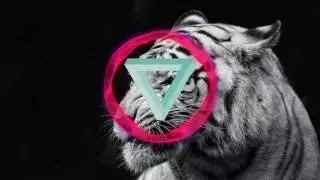 DJARRET - White Tiger