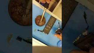 Como adaptar batería iPhone 5s/5c a un iPhone 5g