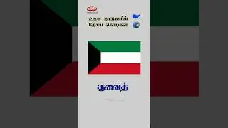 National flags of the world shorts