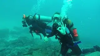 Exploring the Enchanted Gal&aacute;pagos Isles: Diving Punta Pitt
