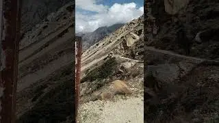 Road to Chirbasa #facts #amazingfacts #information #travel #himalayantrip #gomukhtrek #viral