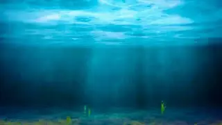 Magical underwater ocean light God rays animated background video, No Copyright || Nature background