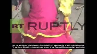 India: This monkey wedding is totally BANANAS!