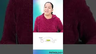 1 minute learning:  Types of cell adaptations