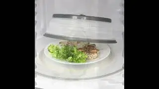 Tovolo Vented Collapsible Medium Microwave Cover ~~ product review.