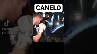 Canelo on the Aqua Training Bag 21&rdquo;