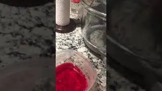 Jaden&rsquo;s pineapple in Jello experiment