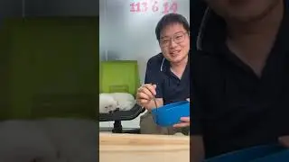 #創辦人都在吃的寵糧 #挑戰 #DAY1
