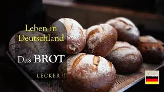 In Deutschland gibt es die meisten Brote - dies sind die 3 h&auml;ufigsten deutschen Brote