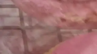 Raspberries Explosion Fatcaron (Korean Macaron)-فاتكارون نكهة الرازبري