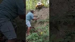 Wow, turns out there's a bird's nest in the stone hole.