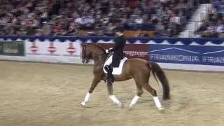 BELISSIMO M & Kathrin Sudhölter - Hengstschau Münster 2015
