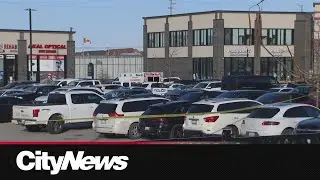 Daylight shooting in Brampton plaza leaves one man dead