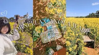 Melbourne Spring To-Do | Cornella Canola Walk