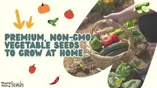 🌱 Grow Fresh This Spring & Summer with Happy Valley Seeds! 🌞