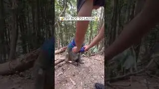 Man Helps Monkey, But the Monkey's Reaction Is Hilariously Mad! 🙈😂