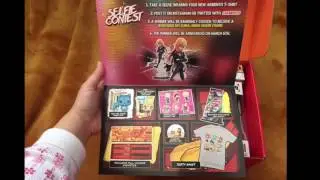 Akibento February box (2017)