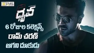Dhruva Movie Collections | Dhruva 6 days Collections | Ramcharan - Filmyfocus.com