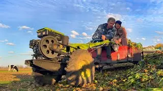 Farm Life Surprises You Won't Believe!