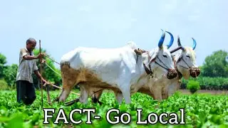 Go Local | FACT Series by Estah Society