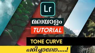 Lightroom Mobile Malayalam Tutorial 2022 | Master the Tone Curves