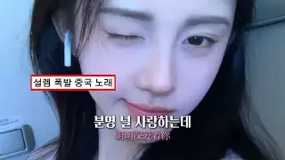 분명 널 사랑하고 함께 있고 싶어 : Joysaaaa-明明 (분명) 