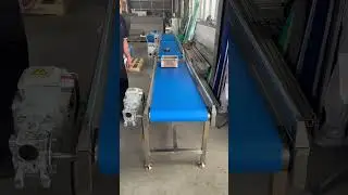 PVC belt conveyor