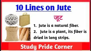 10 Lines on Jute | 10 Lines on Jute in English | 10 Lines on Jute Fiber | Jute Par 10 Lines