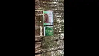 Did I hit a car?! Socastee disc golf course (hole 1-3)