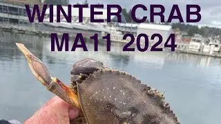 Winter Crabbing for Dungeness Crab in November