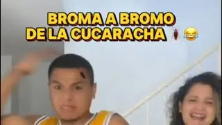 Broma de la cucaracha 😂😂