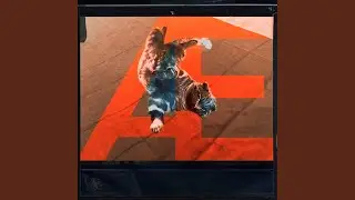 L X