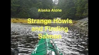 Alaska - Wolf Calls (part 14)