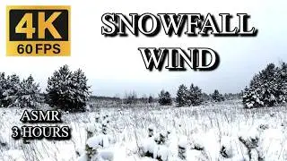 Snowy Winter Field ASMR | Strong Wind & Drifting Light Snow ❄️💨 4K 📺