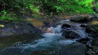 Relaxing Mountain Stream Sounds &ndash; White Noise for Deep Sleep, Focus & Study