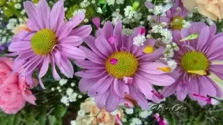 Flores 2