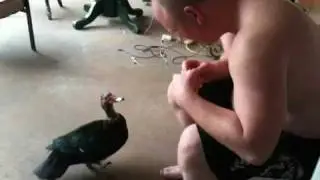Craig The Duck from Audiohammer Studios