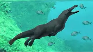 An Ancient Wolflike Killer Whale