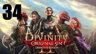 Let's Platinum Divinity Original Sin 2 ► 34