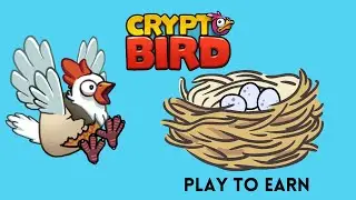 2024 crypto bird play to earn