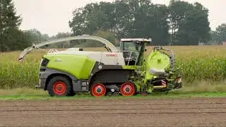 Maize Harvest 2020