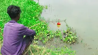 Fishing Video || Brave boy amazing hook fishing in the village field canal || Amazing hook fish trap