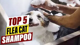 Top 5 Best Flea Shampoos for Cats in 2025 &ndash; Safe, Gentle & Effective!